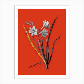 Vintage Daylily Black and White Gold Leaf Floral Art on Tomato Red n.0528 Art Print