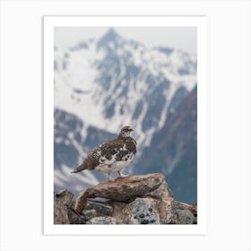 Ptarmigan Mountain Scenery Art Print