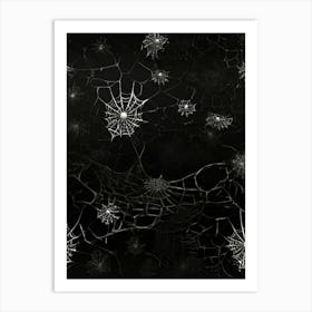 Spider Webs 2 Art Print