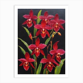 Red Phragmipedium Orchids Oil Painting 2 Art Print