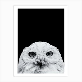 Snowy Owl Art Print