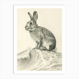Jersey Wooly Rabbit Drawing 3 Art Print