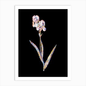 Stained Glass Tall Bearded Iris Mosaic Botanical Illustration on Black Art Print