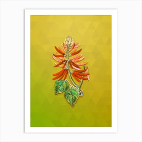 Vintage Naked Flowering Erythrina Botanical Art on Empire Yellow n.0496 Art Print