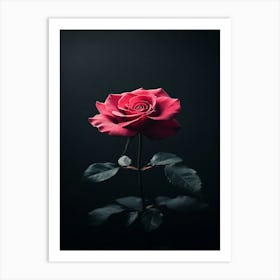 Single Rose On Black Background 7 Art Print