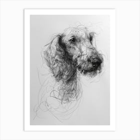 Bedlington Terrier Dog Charcoal Line 1 Art Print