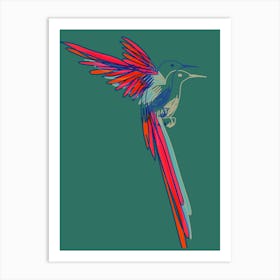 Hummingbird003 Art Print
