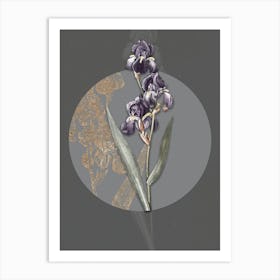 Vintage Botanical Dalmatian Iris on Circle Gray on Gray n.0003 Art Print