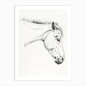 Head Of A Horse 1, Jean Bernard Art Print