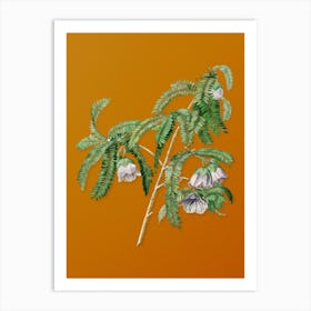 Vintage Spaendoncea Tamarandifolia Botanical on Sunset Orange n.0531 Art Print