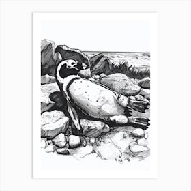 African Penguin Sunbathing On Rocks 3 Art Print