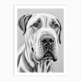 Neapolitan Mastiff B&W Pencil Dog Art Print