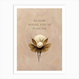 Bloom Where You'Re Planted Art Print