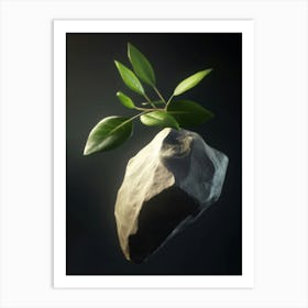 Rock With A Leaf Art Print