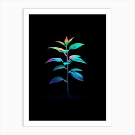 Plant In The Dark 32 Art Print