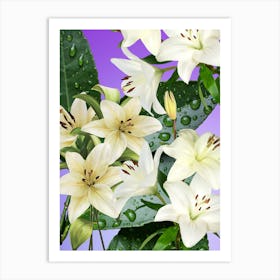 White Lilies Art Print