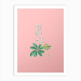 Vintage Half Shrubby Lupine Flower Botanical on Soft Pink n.0521 Art Print