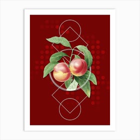 Vintage Peach Botanical with Geometric Line Motif and Dot Pattern n.0283 Art Print