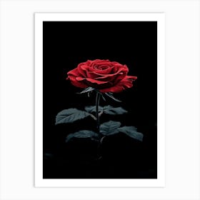 Red Rose On A Black Background Art Print