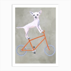 Chihuahua On Bicycle Art Print