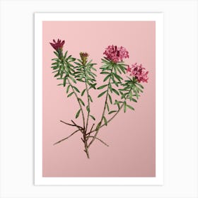 Vintage Garland Flowers Botanical on Soft Pink n.0524 Art Print