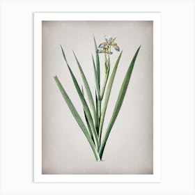 Vintage Stinking Iris Botanical on Parchment n.0357 Art Print