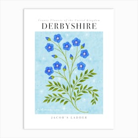County Flower of Derbyshire Jacobs Ladder Art Print