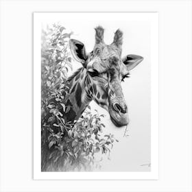 Pencil Portrait Of A Giraffe In The Trees 3 Art Print