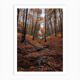 Autumn Forest Art Print