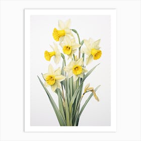Daffodils Flower Vintage Botanical 1 Art Print