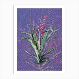 Vintage Pitcairnia Bromeliaefolia Botanical Illustration on Veri Peri n.0372 Art Print