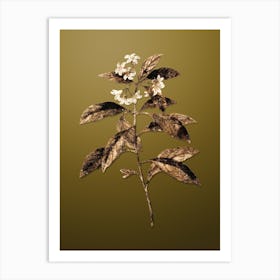 Gold Botanical Sweet Pittosporum Branch on Dune Yellow n.0940 Art Print