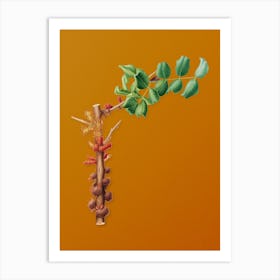 Vintage Carob Flower Botanical on Sunset Orange n.0089 Art Print