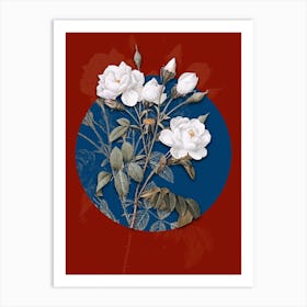 Vintage Botanical Vintage White Rose on Circle Blue on Red n.0040 Art Print