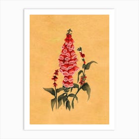 Red Foxglove Country Wildflower Art Print