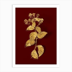 Vintage New Jersey Tea Botanical in Gold on Red n.0001 Art Print