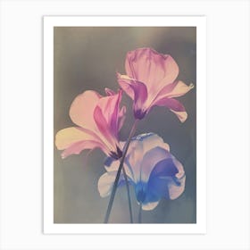 Iridescent Flower Cyclamen 2 Art Print