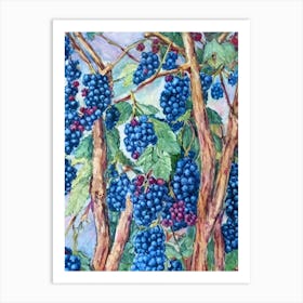 Boysenberry Classic 2 Fruit Art Print