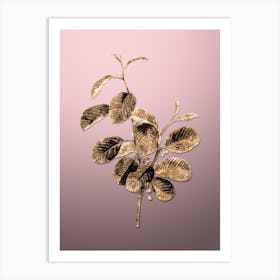 Gold Botanical Alpine Buckthorn Plant on Rose Quartz n.2894 Art Print