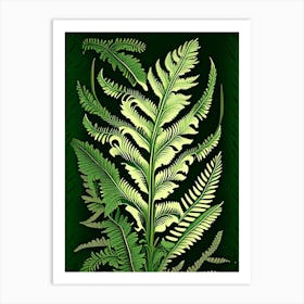 Sword Fern Vintage Botanical Poster Art Print