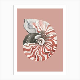 Nautilus Shell 2 Art Print