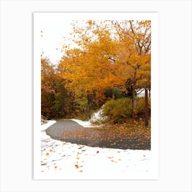 Autumn Turning to Winter Art Print