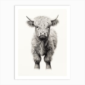 Black & White Illustration Of Young Highland Cow Art Print