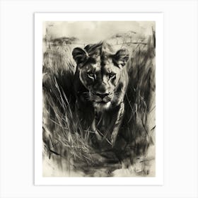 African Lion Charcoal Drawing Hunting 3 Art Print