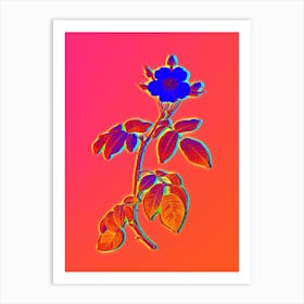 Neon Big Leaved Climbing Rose Botanical in Hot Pink and Electric Blue n.0447 Art Print