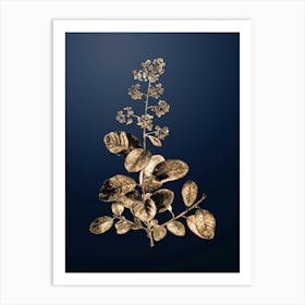 Gold Botanical European Smoketree on Midnight Navy n.2091 Art Print