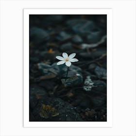 White Flower 28 Art Print