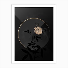Shadowy Vintage White Rose of York Botanical in Black and Gold n.0154 Art Print