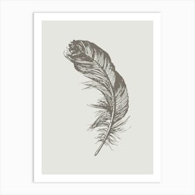 Grey Feather Print 6 Art Print