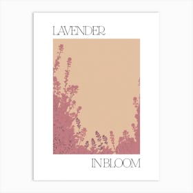 Lavender In Bloom Flowers Bold Illustration 4 Art Print